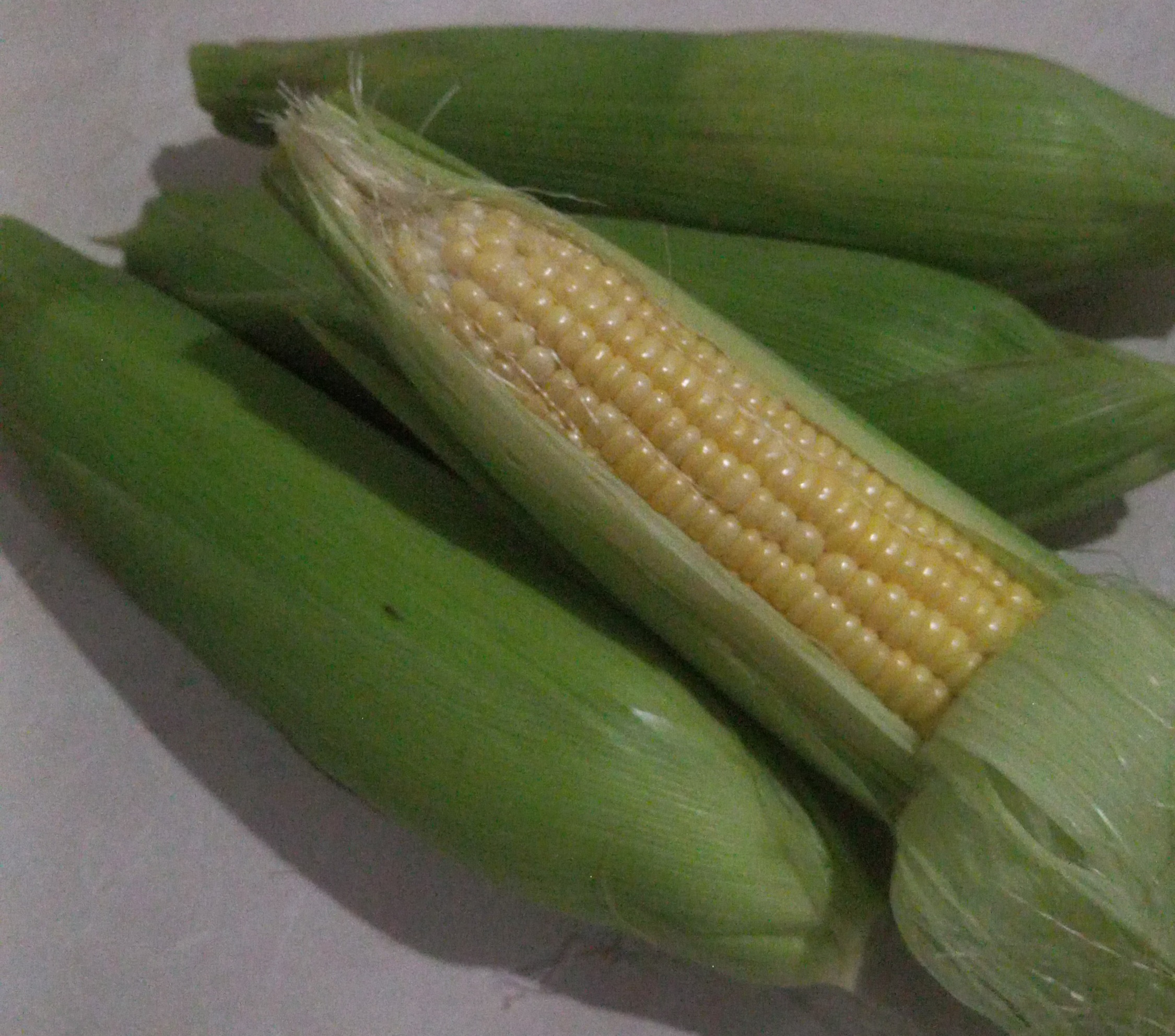 Image representing the article content